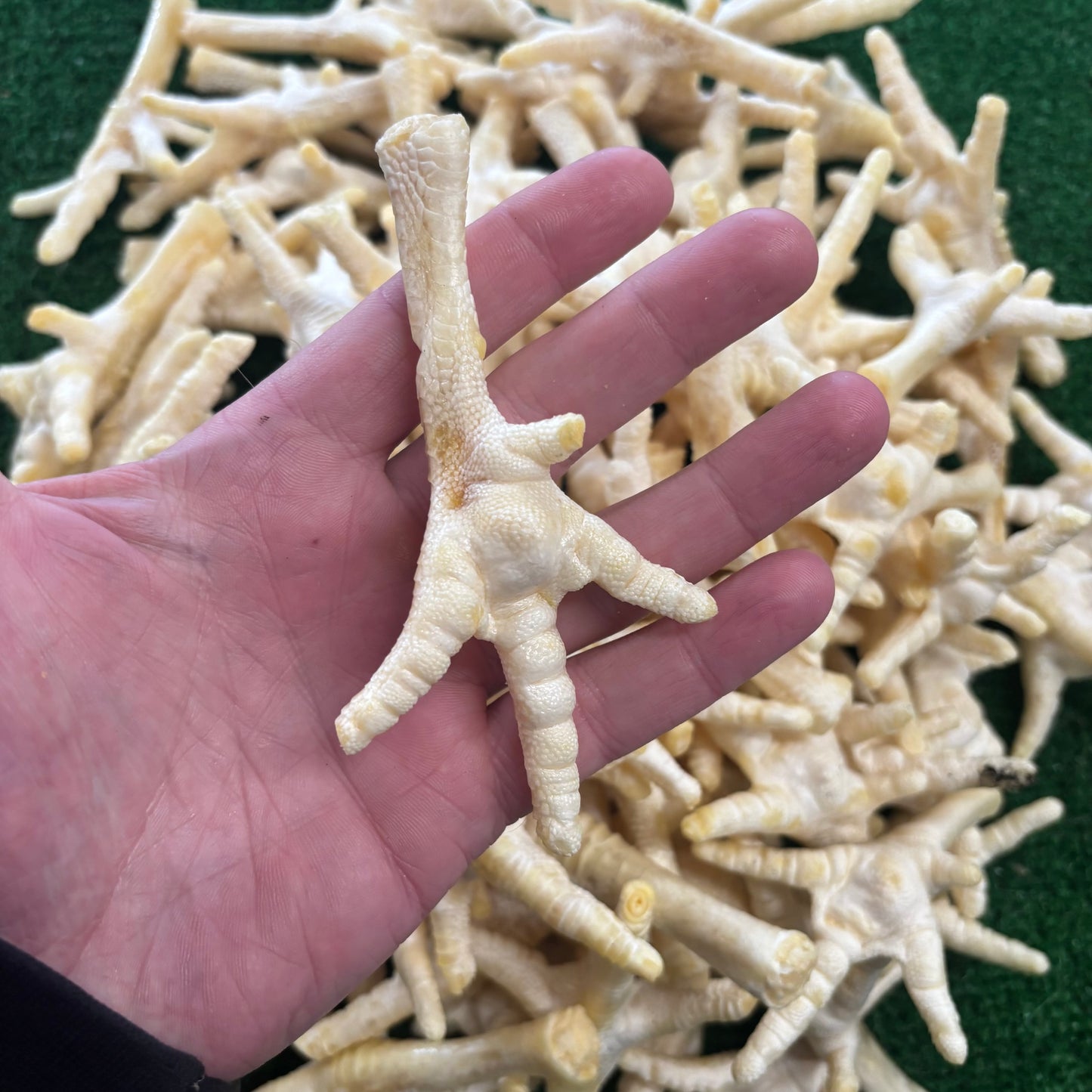 1KG Puffed Chicken Feet