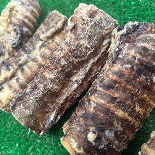 Beef Trachea x 10