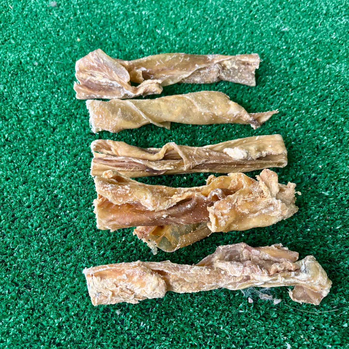 5 Mini bully sticks