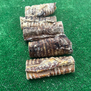 Beef Trachea x 10