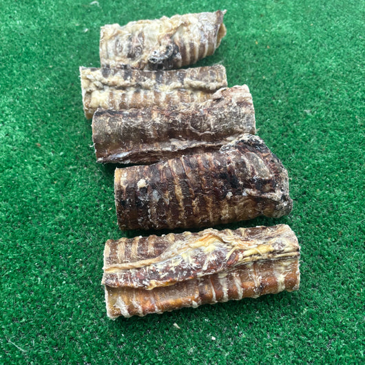 Beef Trachea x 10