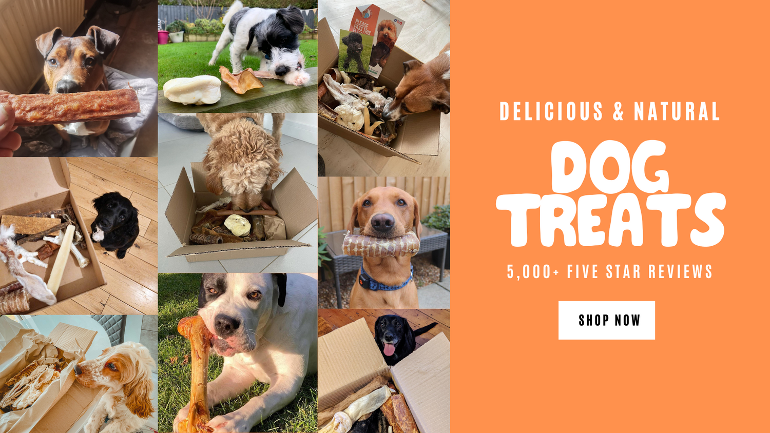 Discount top dog treats
