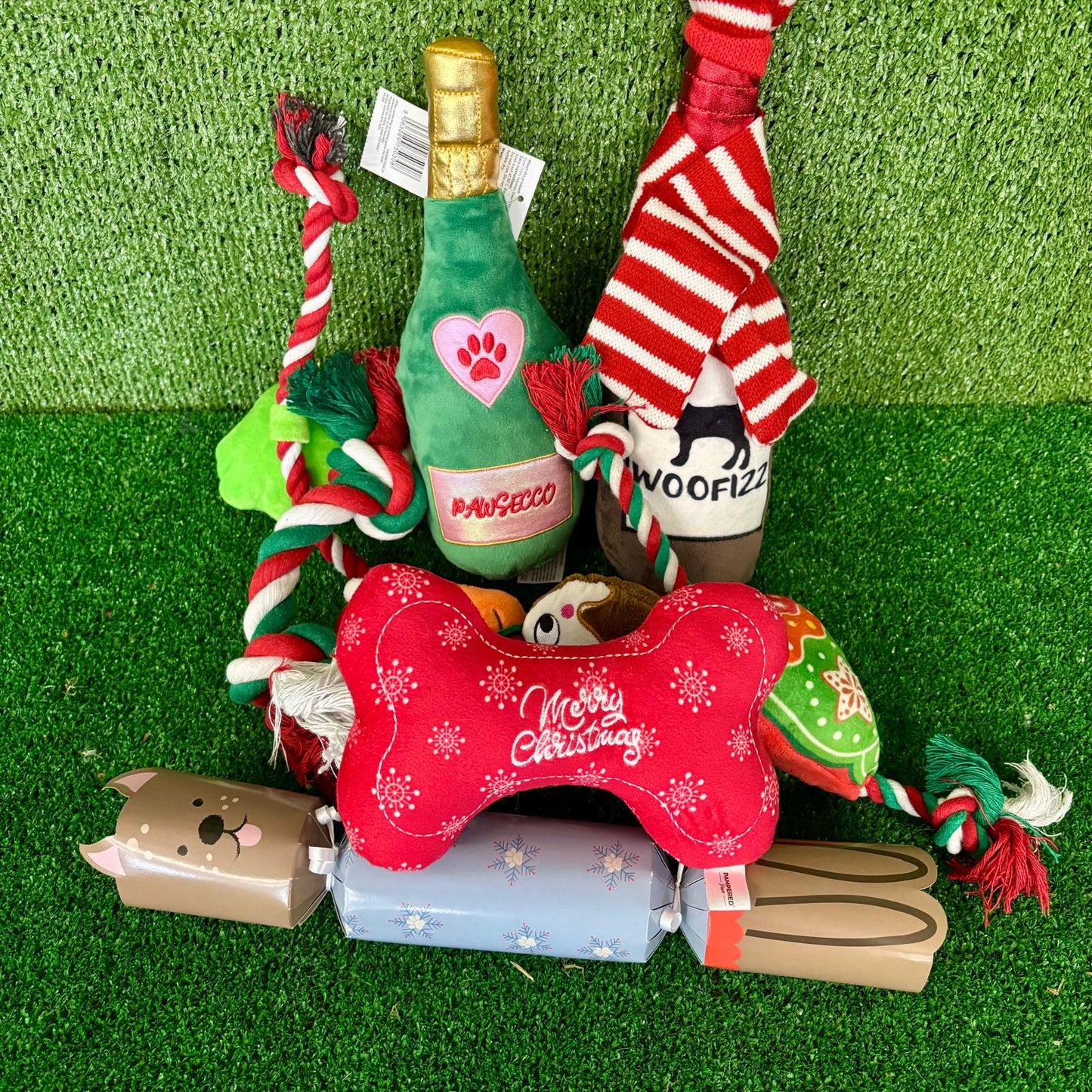 Santa Paws Bundle Box