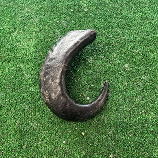 Buffalo Horn