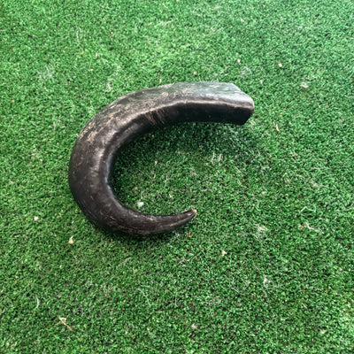 Buffalo Horn - Natural Doggy Treats