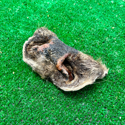 Cow Nose - Natural Doggy Treats