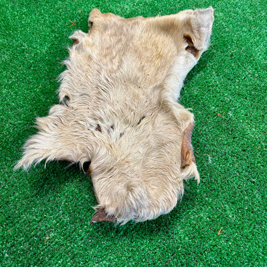 Cow Skin - Natural Doggy Treats