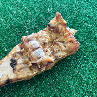 Giant Beef Bone