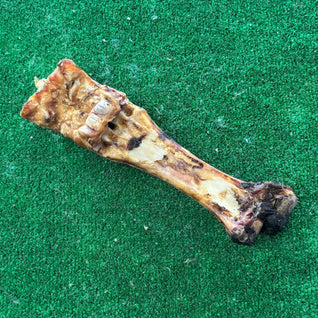 Giant Beef Bone