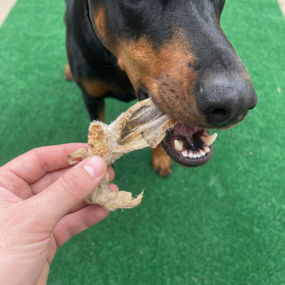 Lamb Ears