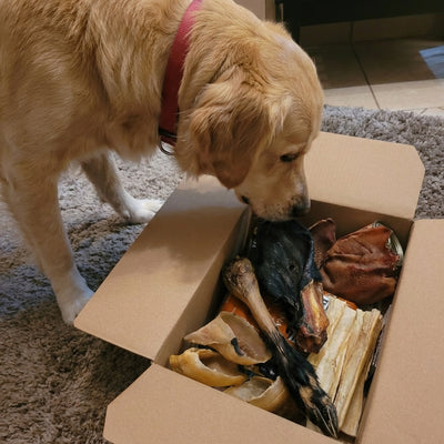 The Big Chew Box - 15 Long Lasting Chews