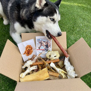 NO DEER LEG - Natural Doggy Treat Box