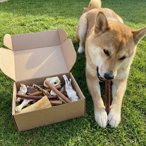 Natural Doggy Treats - 2 Dog Box