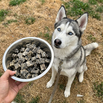 30 x Fish Cubes