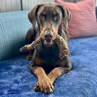 Turkey Neck
