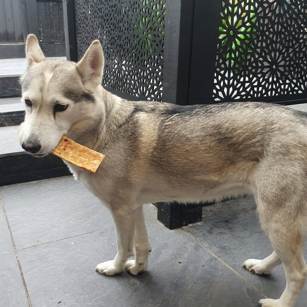 Beef Chips Bundle of 4