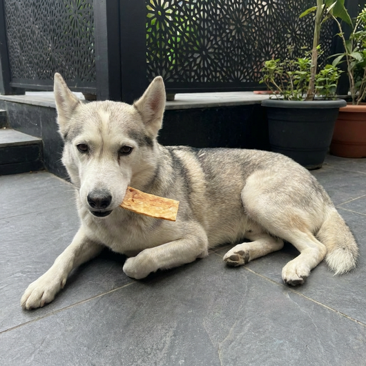 Chicken Chips Bundle of 4