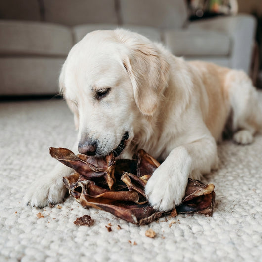 30 x Pig Ears