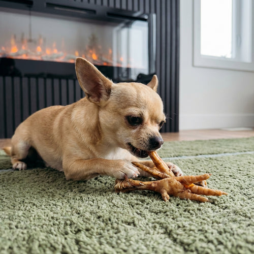 50 x Natural Chicken Feet