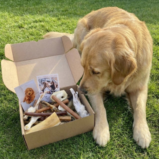 Natural Doggy Treats - 3 Dog Box