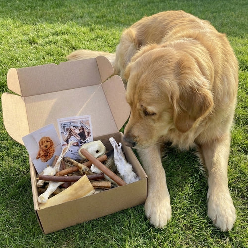 Natural Doggy Treats - 3 Dog Box