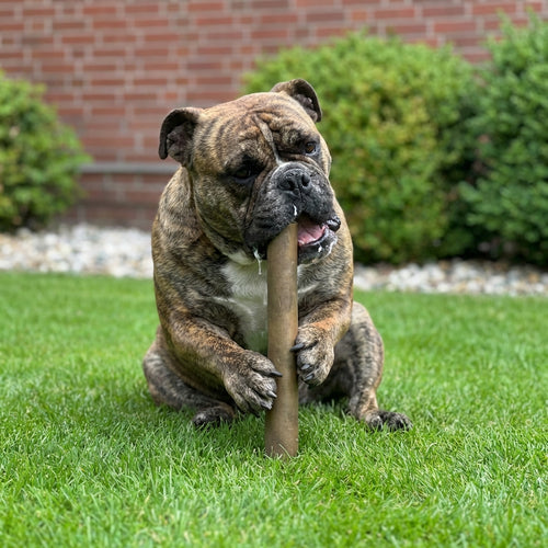 Camel Roll Skin 30 cm