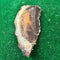 Moon Bone