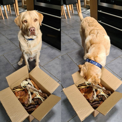 Natural Doggy Treat Box - Natural Doggy Treats
