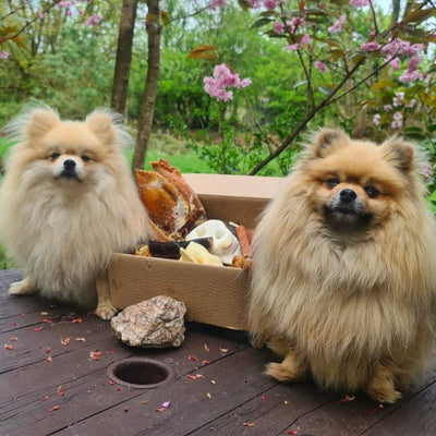 Natural Doggy Treat Box - Natural Doggy Treats