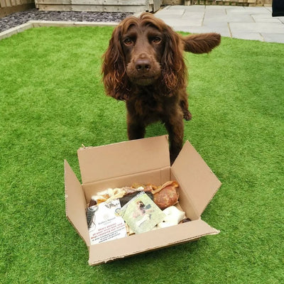 Natural Doggy Treat Box - Natural Doggy Treats