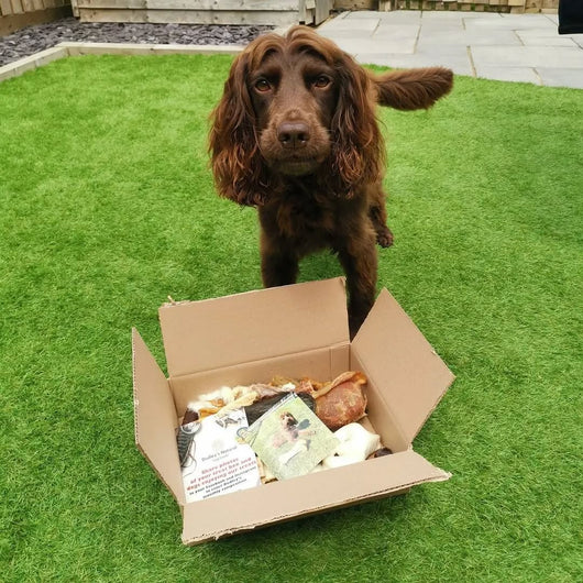 Natural Doggy Treat Box - Natural Doggy Treats