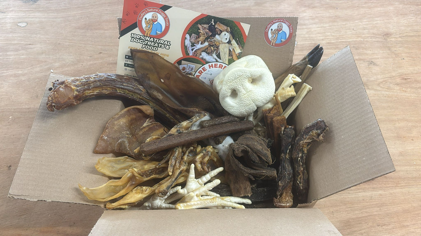 PAYDAY BOX - Natural Doggy Treats