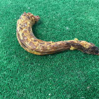 Turkey Neck