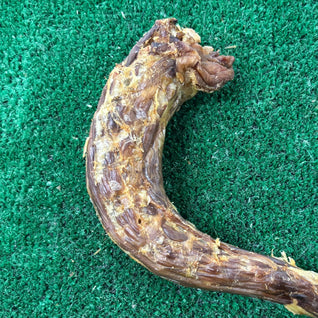 Turkey Neck