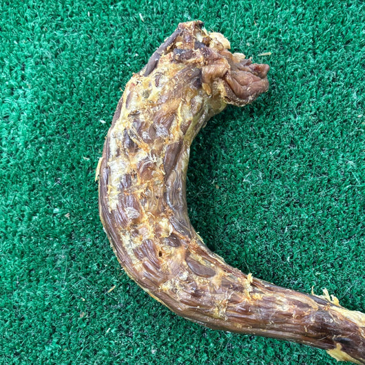 Turkey Neck - Natural Doggy Treats