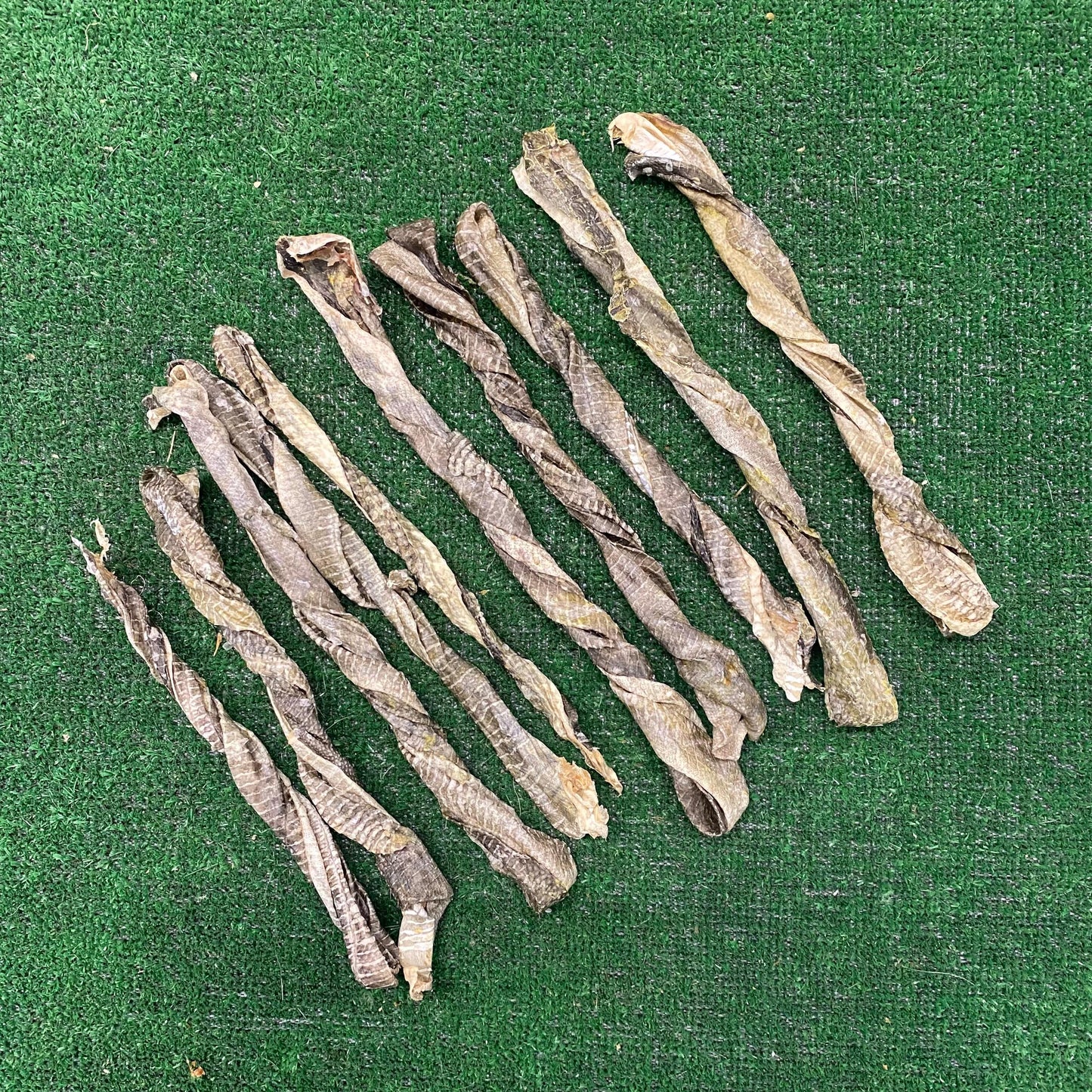 10 x Twisted Fish Skins - 100% natural, free from raw hide & any hidden nasties.