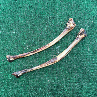 2x Ostrich Wing Bone