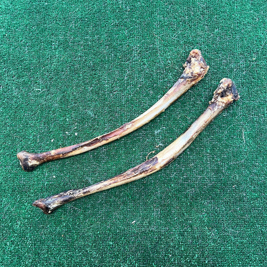 2x Ostrich Wing Bone - 100% natural, free from raw hide & any hidden nasties.