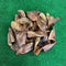 30 x Pig Ears