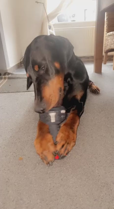 Durable Dumbbell Dog Toy