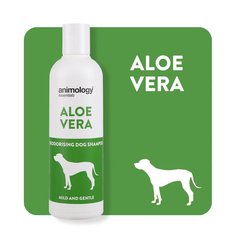 Aloe Vera Shampoo - Natural Doggy Treats