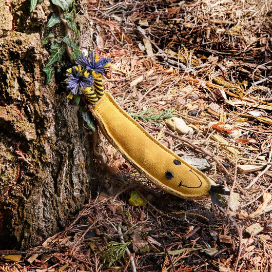 Barry the Banana, Eco Toy - Natural Doggy Treats