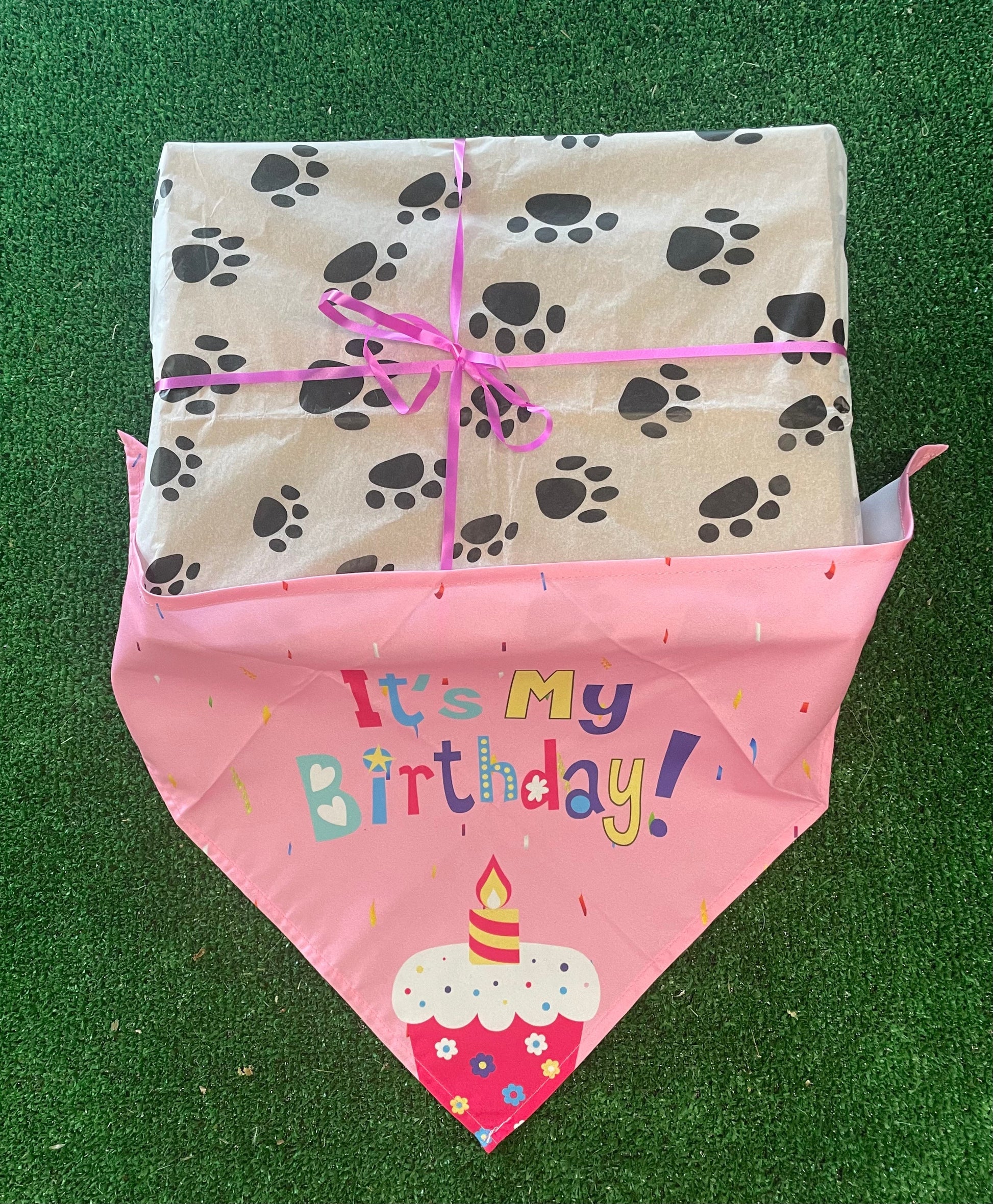Birthday Girl Doggy Treat Box - 100% natural, free from raw hide & any hidden nasties.