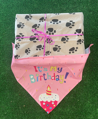 Birthday Girl Doggy Treat Box