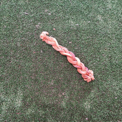 Braided Lamb Pizzle (15cm) - Natural Doggy Treats