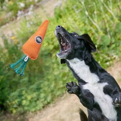 Candice the Carrot, Eco toy - Natural Doggy Treats