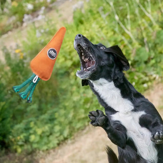 Candice the Carrot, Eco toy