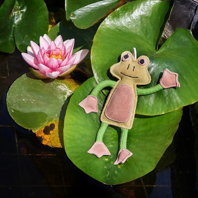 Francois Le Frog, Eco Toy - Natural Doggy Treats