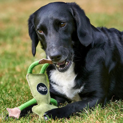 Francois Le Frog, Eco Toy - Natural Doggy Treats