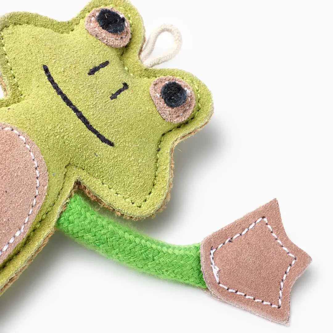 Francois Le Frog, Eco Toy - Natural Doggy Treats